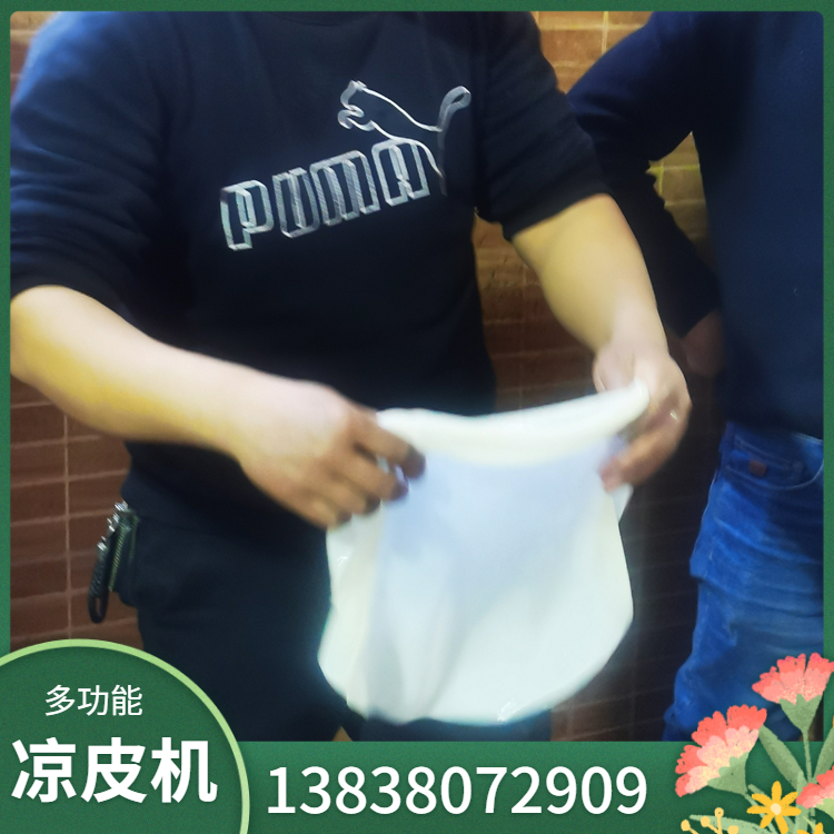 数控凉皮机 果蔬凉皮机 国匠全自动300型小型凉皮机