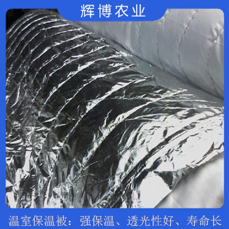大棚外保温被 山东辉博大棚外保温被安装 防水防火