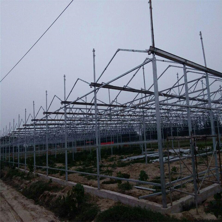 阳光板温室建造 北方温室大棚工程 阳光板温室设计