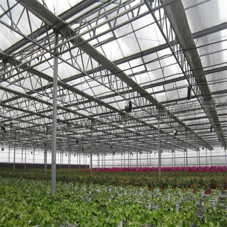 阳光板日光温室 阳光板温室工程 北方阳光板温室安装
