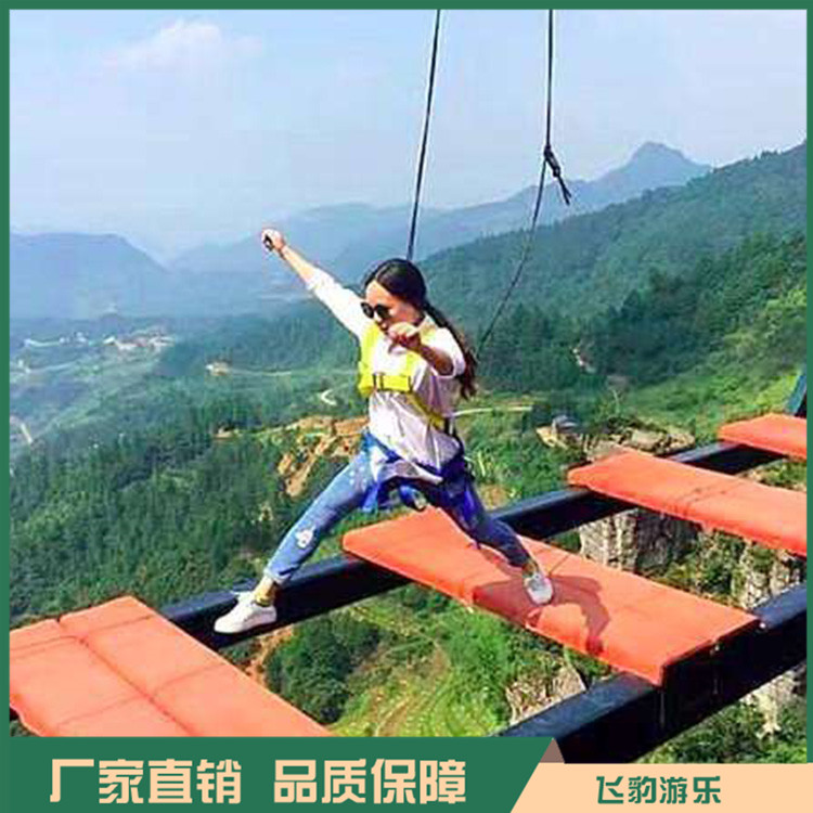 步步惊心桥安装厂家 步步惊心桥项目 欢迎咨询 售后完善