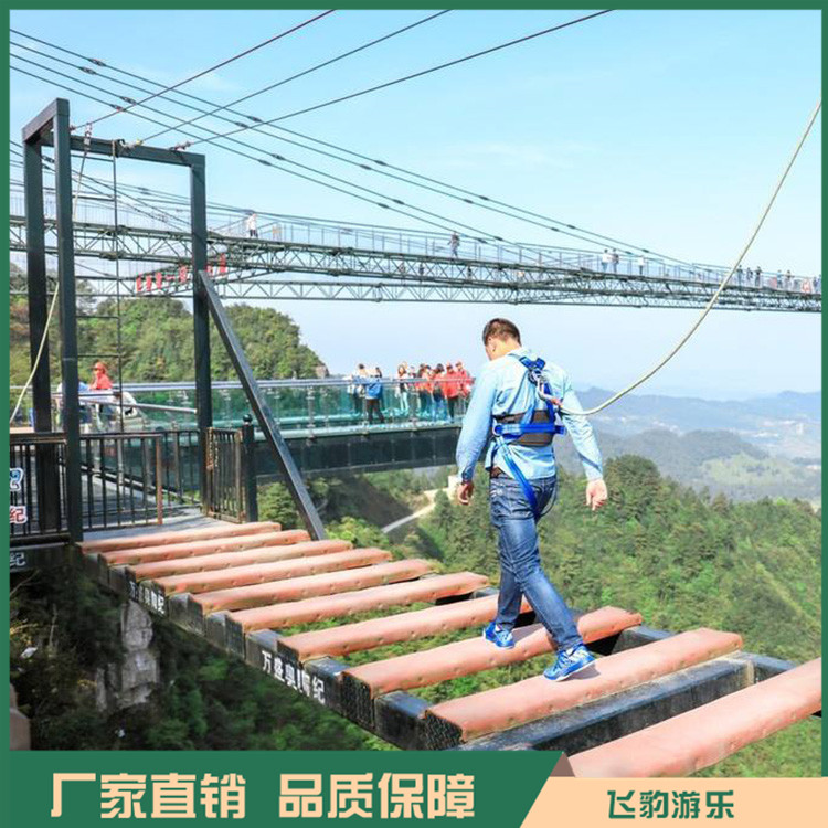 步步惊心桥设计施工 步步惊心桥项目 飞豹游乐 品质保证