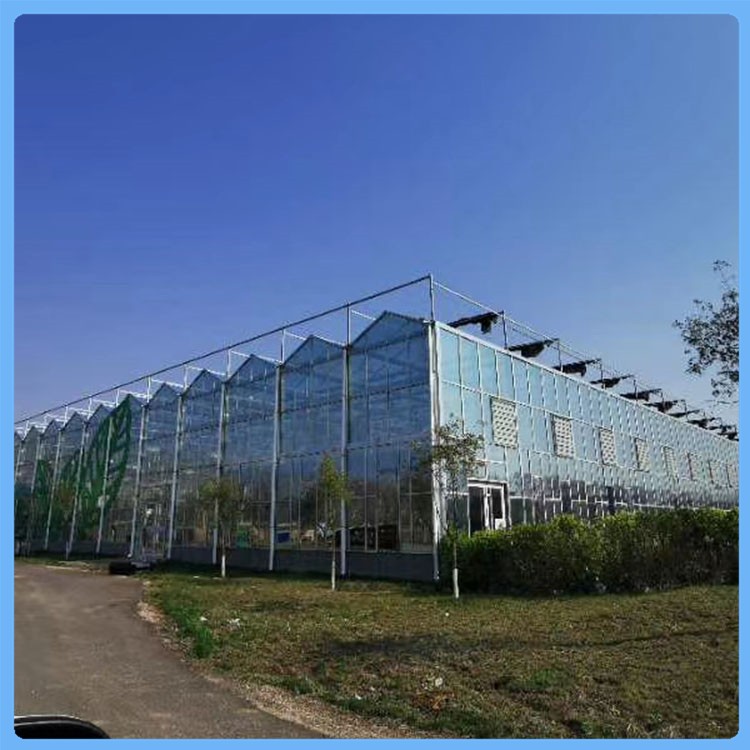 QY玻璃温室厂家建设 智能PC阳光板温室价格 连栋薄膜育苗温室大棚工程造价
