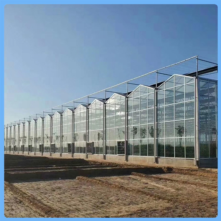 青海玻璃温室智能温室建设厂家温室大棚建设 骨架原材料厂家