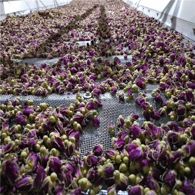 花露提取设备 多功能植物精油蒸馏提取设备