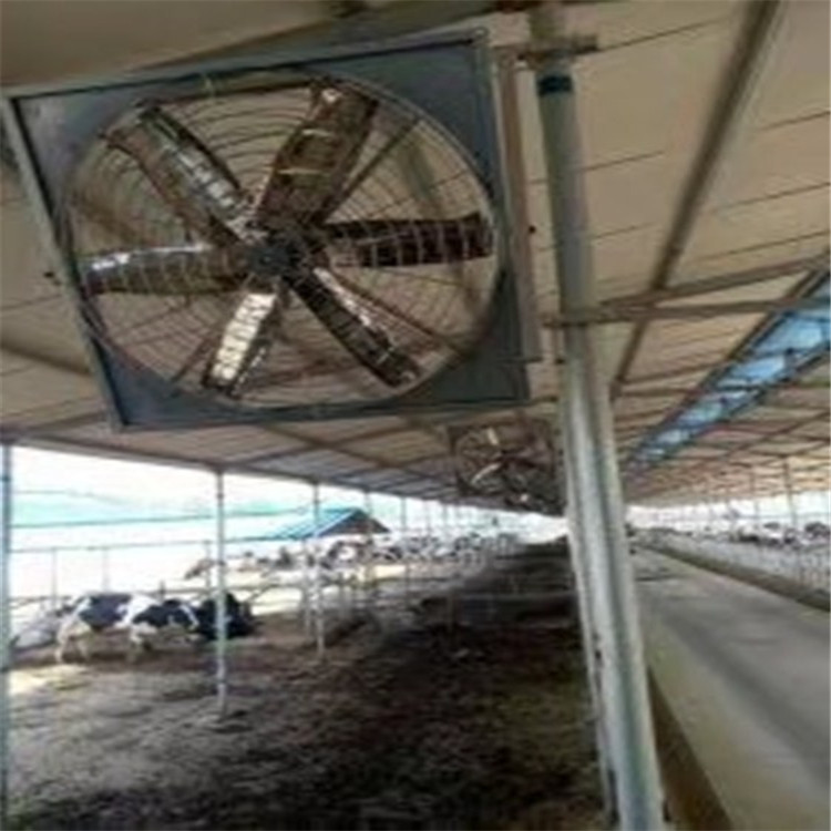 厂家定制4扇叶牛舍风机 纯铜电机