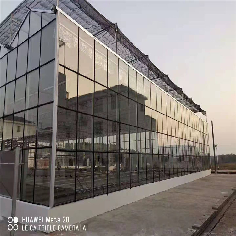 农业玻璃温室工程欢迎咨询