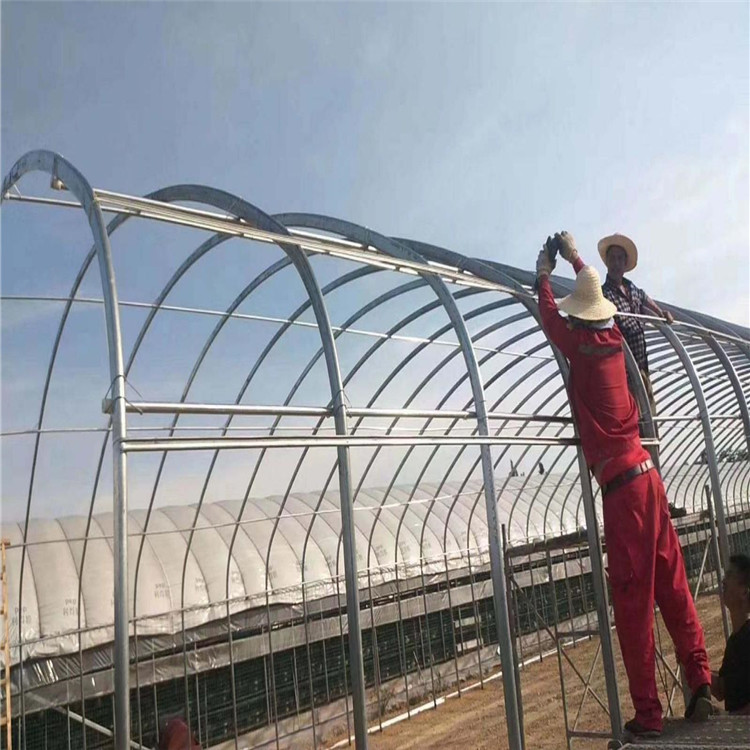 连栋温室北方建造 蔬菜连栋温室大棚 草莓连栋温室价格