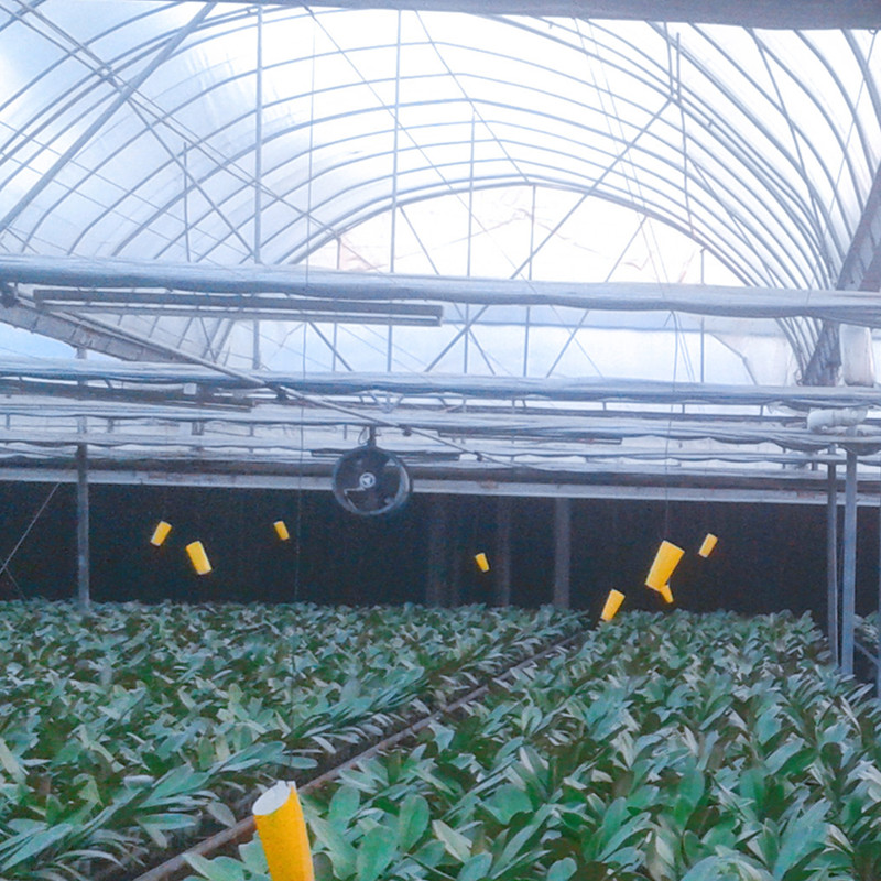 湖北草莓种植智能温室大棚 连栋薄膜温室厂家齐阳承建