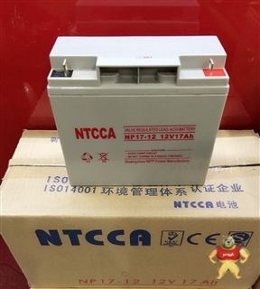 UPS电源蓄电池12v17ah门禁警报系统NP17-12机房警报器船舶后备照明UPS电池