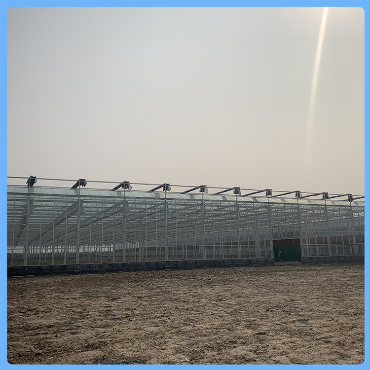 齐阳玻璃温室骨架根据要求加工定制 连栋玻璃温室免费方案策划
