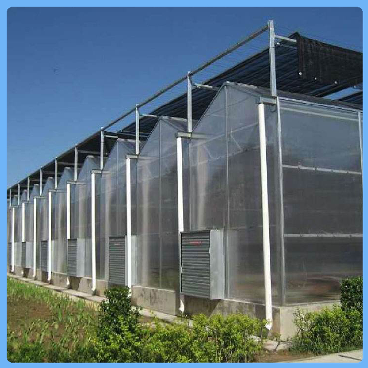 齐阳蔬菜种植温室 阳光板温室材料 温室大棚工程安装