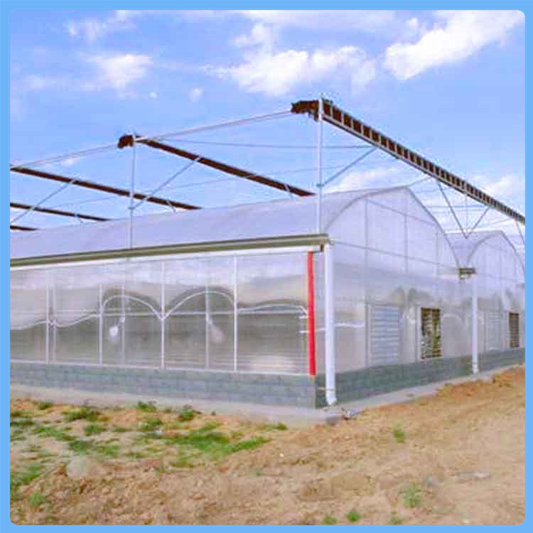 造型美观 经验丰富 连栋大棚承建 薄膜温室 齐阳温室