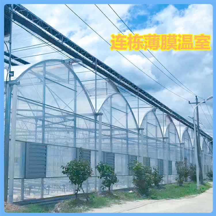 蔬菜育苗薄膜温室 山东薄膜拱棚建设 透光保温温室大棚