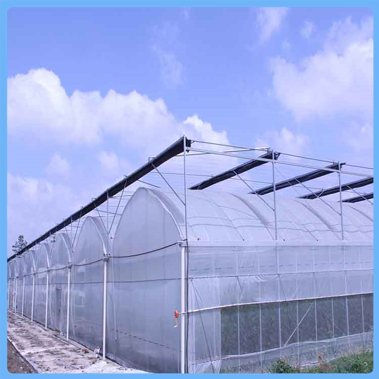 育苗温室大棚 蘑菇菌种植大棚 山东薄膜连栋温室
