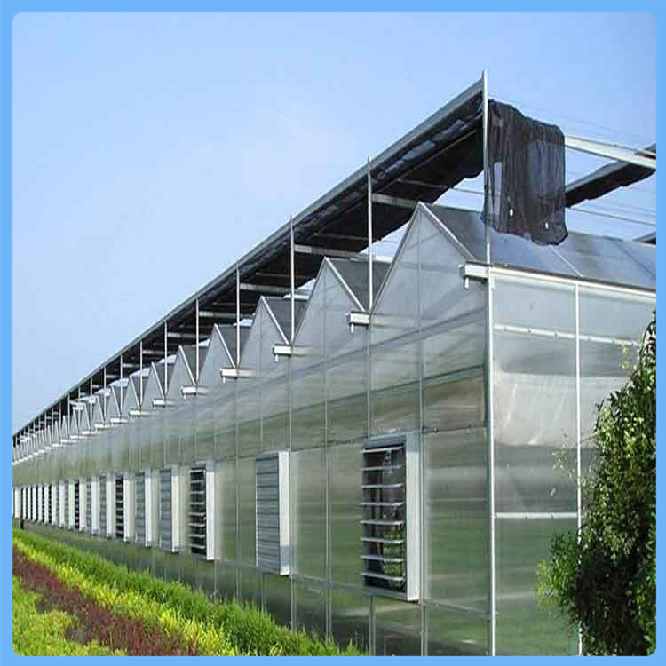 齐阳_阳光板温室大棚 阳光板温室工程造价 建造温室
