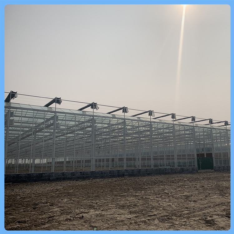 山东玻璃温室大棚建造价格-齐阳温室工程-为您报价