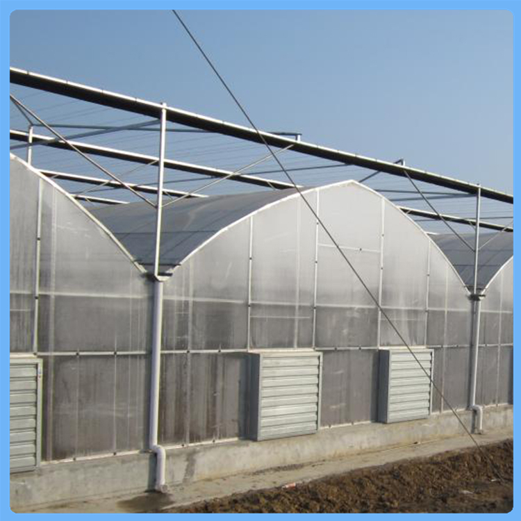 齐阳阳光板温室大棚_骨架材料用量少