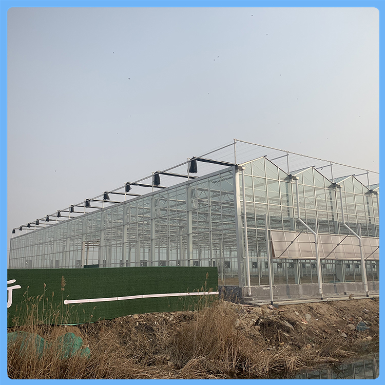 蔬菜连栋温室大棚建设 种植连栋大棚设计智能玻璃温室
