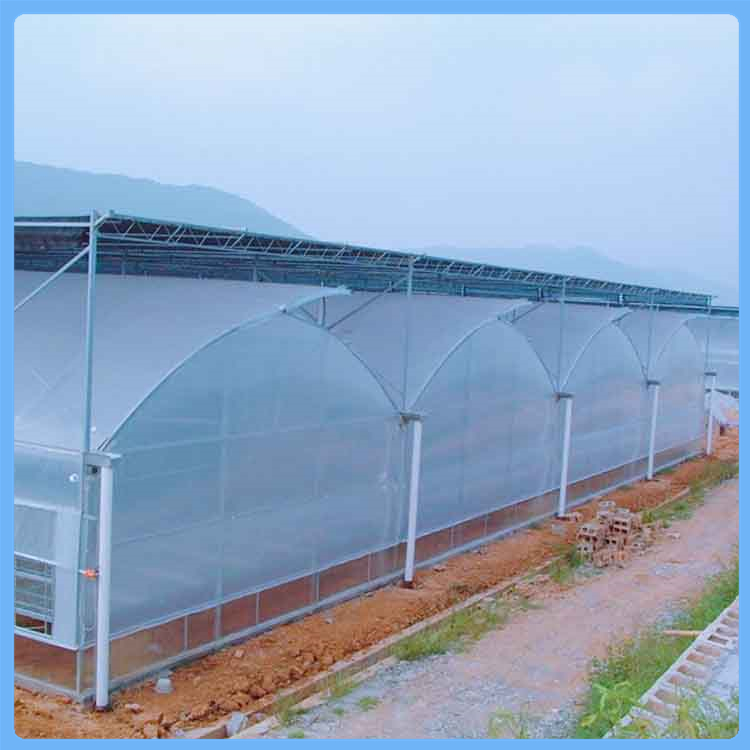 定制型连栋薄膜温室大棚 连栋钢管大棚 连栋温室造价