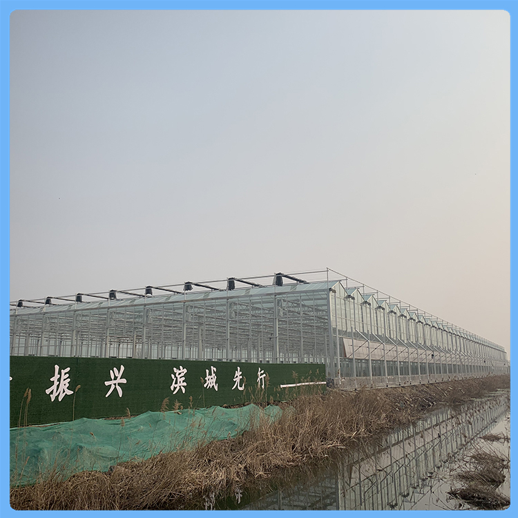 安徽屯溪智能生态玻璃温室加温系统方案 连栋薄膜温室厂家加工销售