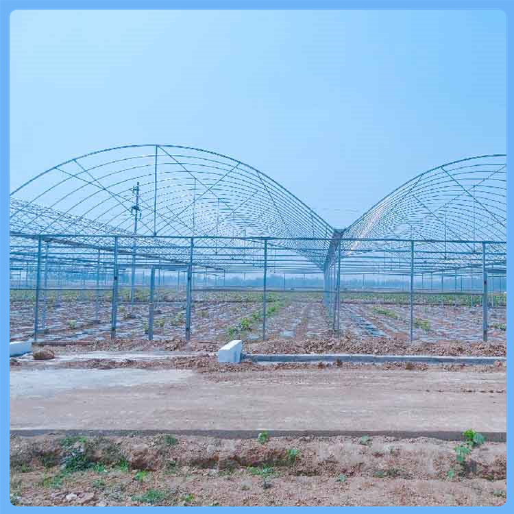 河北建造 薄膜连栋温室 智能薄膜温室大棚 热镀锌钢制骨架结构