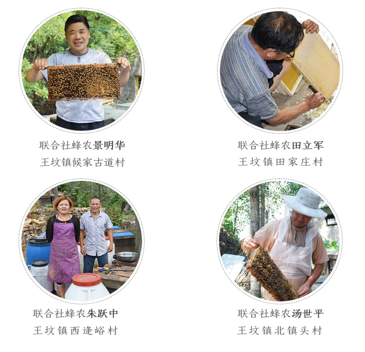 新疆虫媒植物昆虫授粉养蜂合作社直供