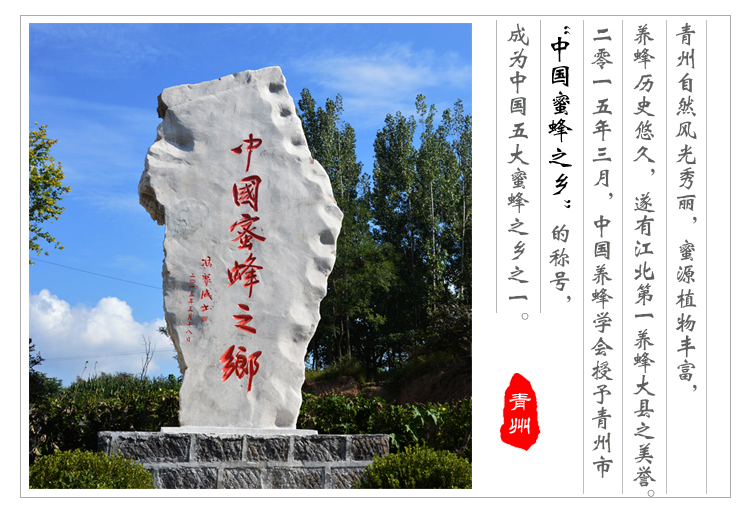 澳门农作物蜜蜂授粉青州市养蜂协会专业为您服务