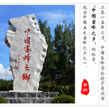 澳门农作物蜜蜂授粉青州市养蜂协会专业为您服务