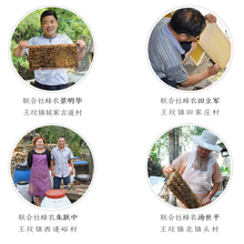 甘肃虫媒植物熊蜂授粉养蜂合作社直供