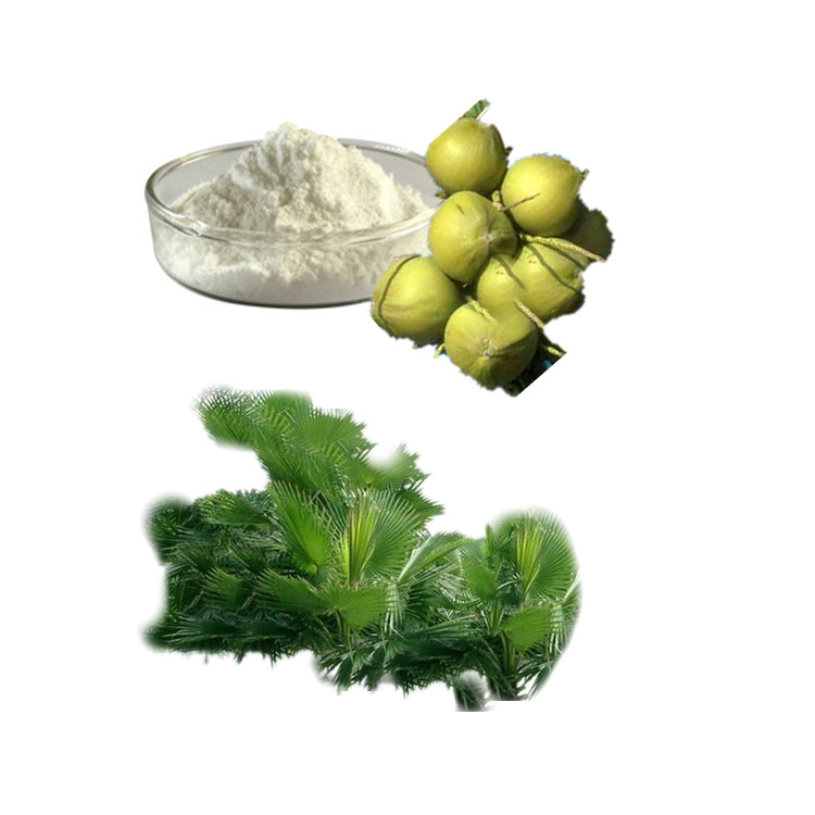锯叶棕提取物 45% 批发脂肪酸锯叶棕 