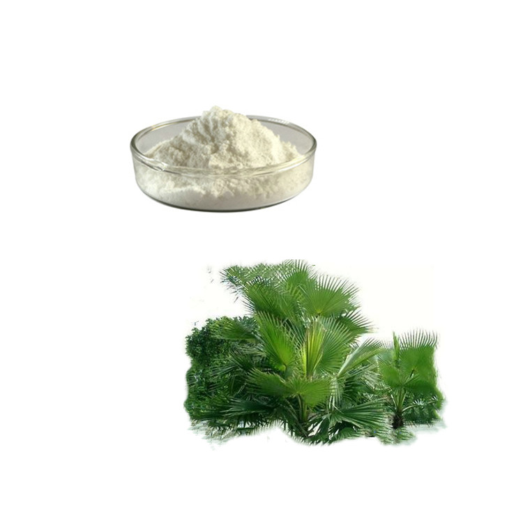 厂家现货直供 锯叶棕医药级植物提取 水溶性 价格实惠