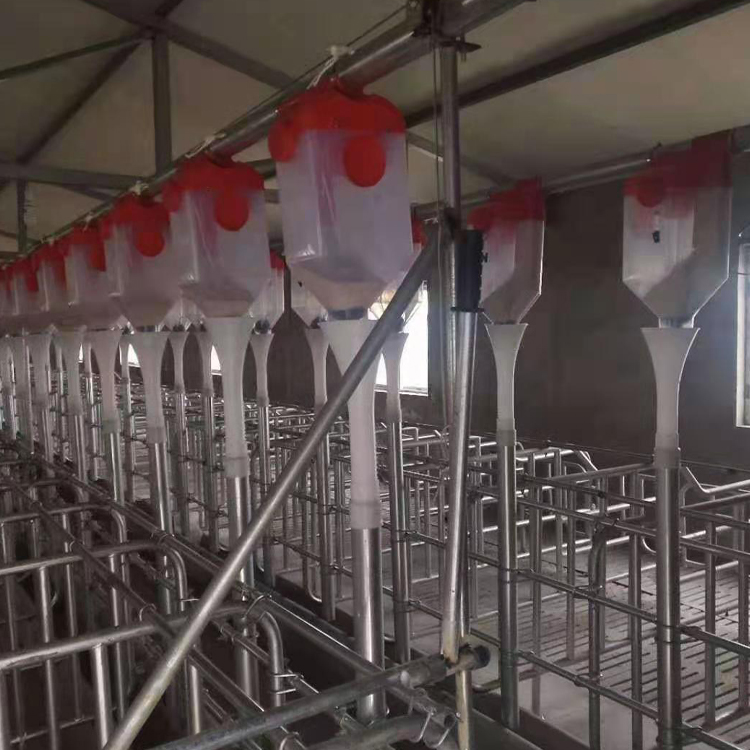 养殖场自动料线 牧裕高邦自动喂食器生产厂家供应