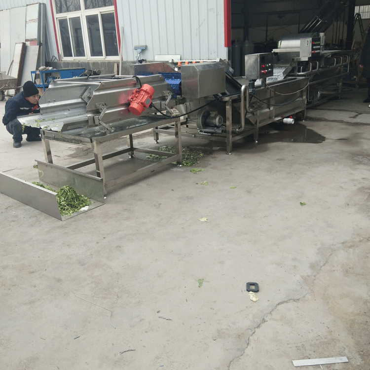 蔬菜清洗机 蔬菜水果清洗机  蔬菜加工气泡清洗机厂家定制