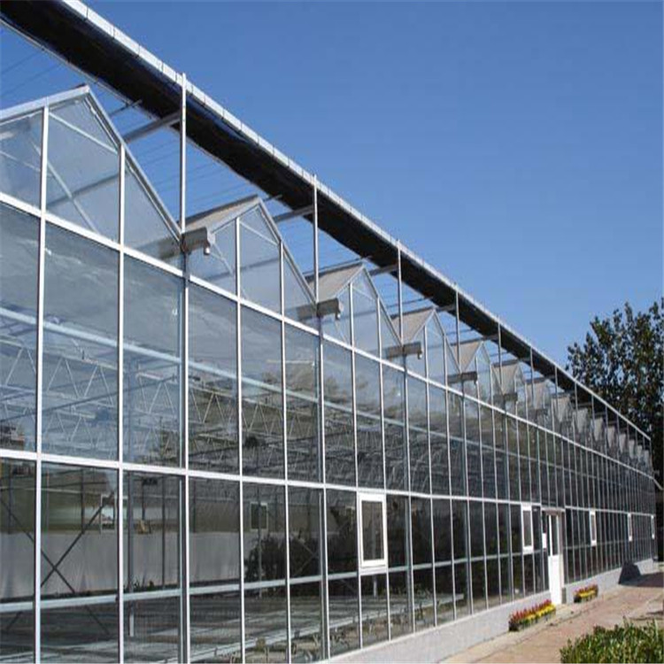 阳光板温室设计安装 蔬菜种植阳光板温室 搭建阳光板温室 北方