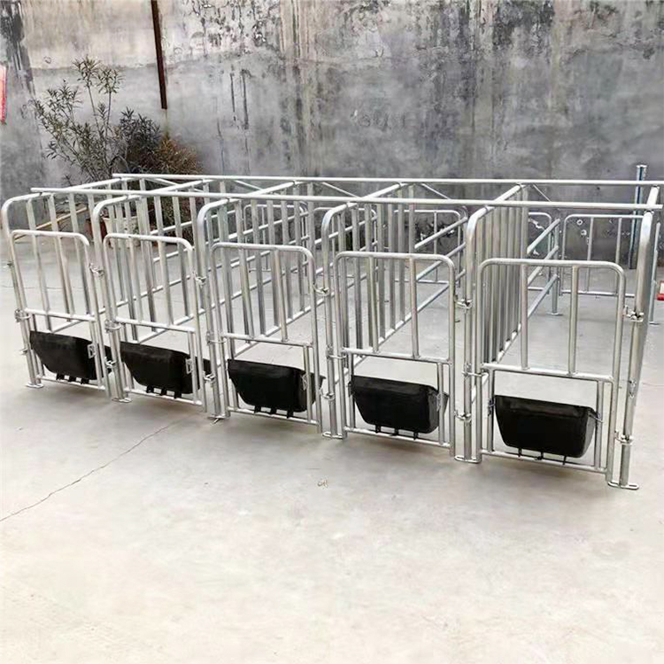 母猪落地式定位栏 猪用限位栏 单体母猪定位栏 大量现货 按时发货