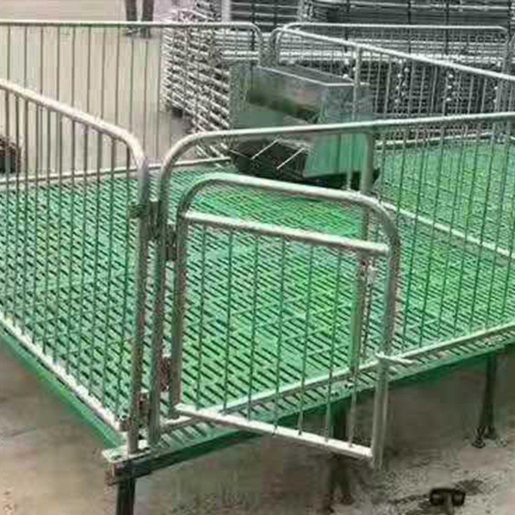 供应定制 猪舍小猪保育床 养猪场用保育床 复合板保育床