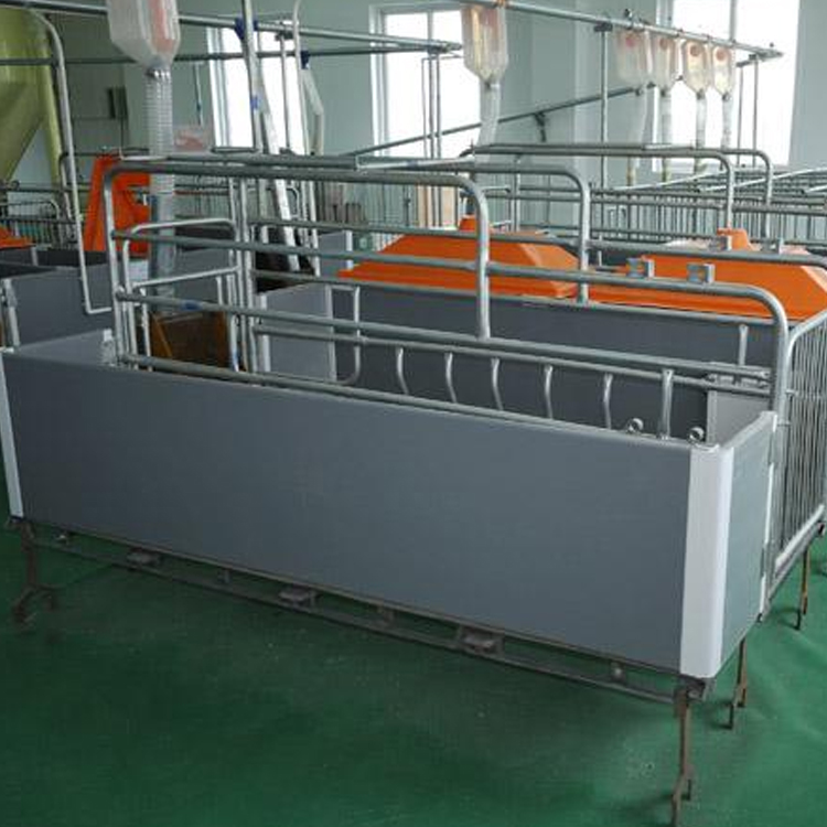 沧州丰扬供应 欧式产床 铸铁母猪产床 复合型双体母猪产床 新式母猪产床