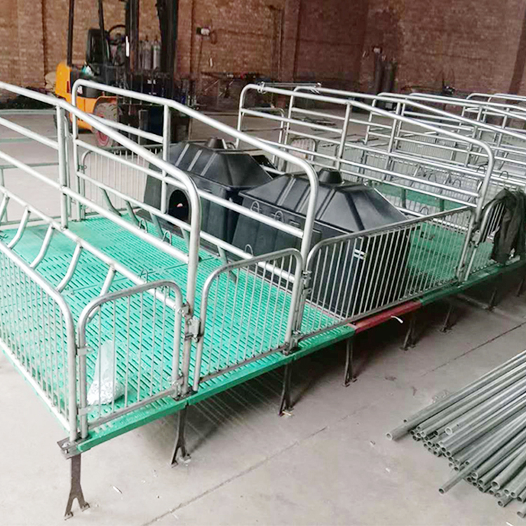 定制 复合板产床 双体母猪产床 铸铁母猪产床 母猪分娩产床 规格多样