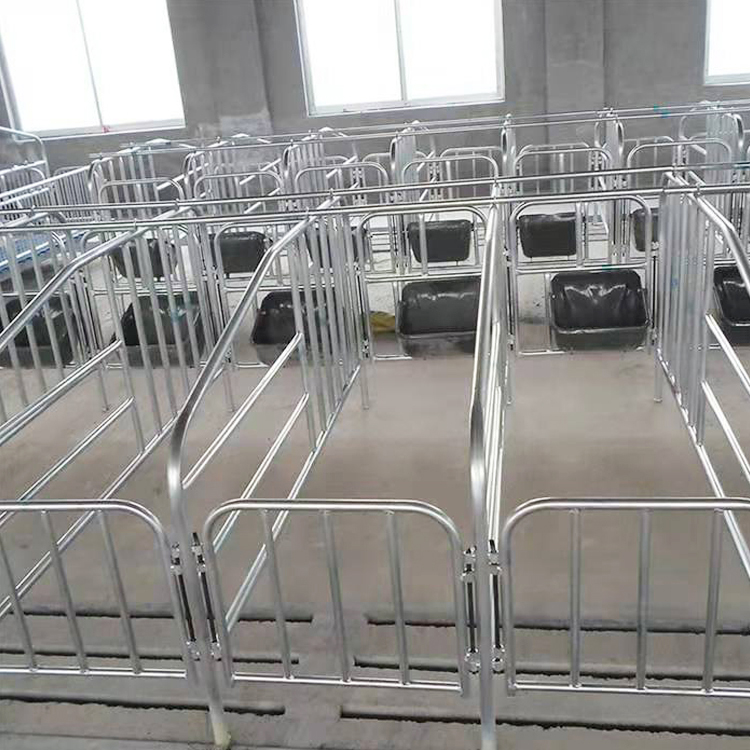 猪用定位栏 猪舍用定位栏 加厚母猪限位栏 母猪保育栏 按时发货