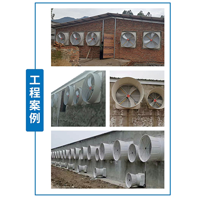 欧镨斯福州 负压风机厂家 养殖风机 猪场降温排气扇 大风量排风扇