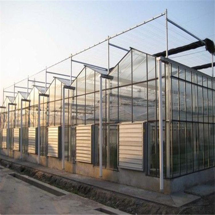 连栋温室建造商 承接连栋温室工程 智能连栋温室价格 