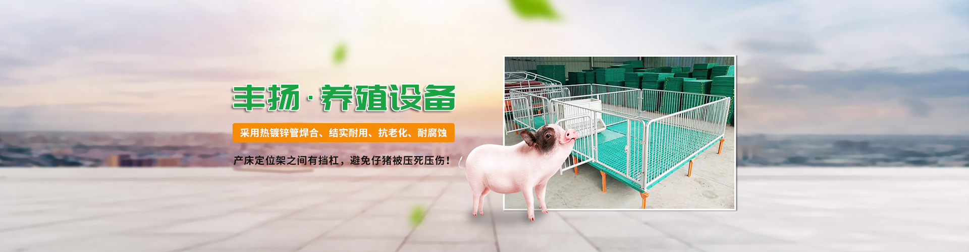 沧州丰扬养殖设备有限公司 主营产品
