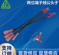 两位端子线公头 LED电源天花灯射灯对接接线端子