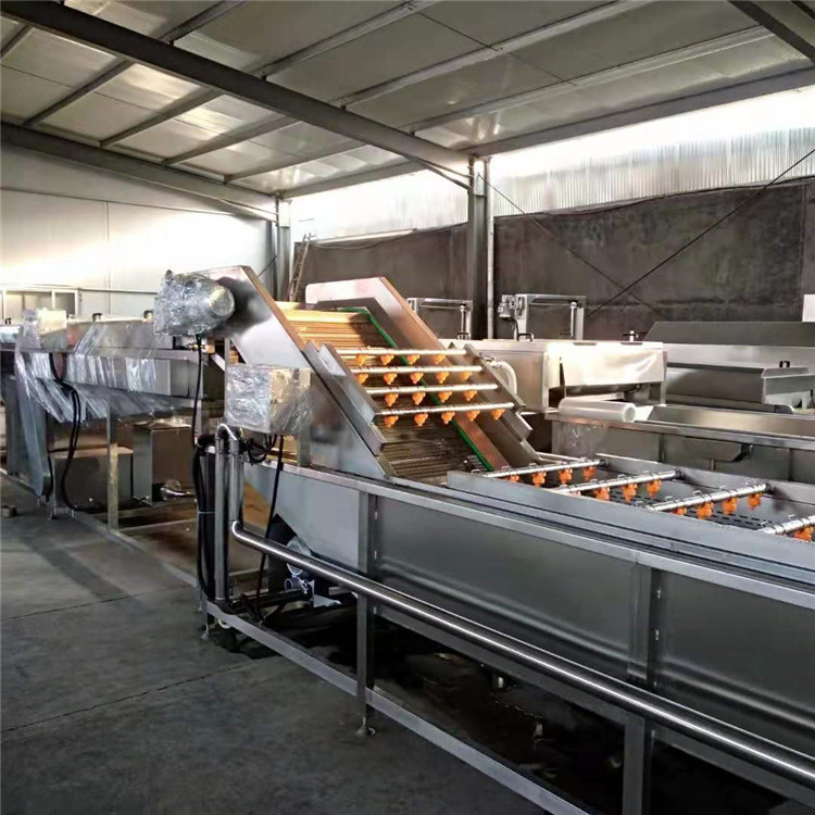 自动化沙棘果清洗机 水果加工生产鲜线 饮料前期加工流水线设备商