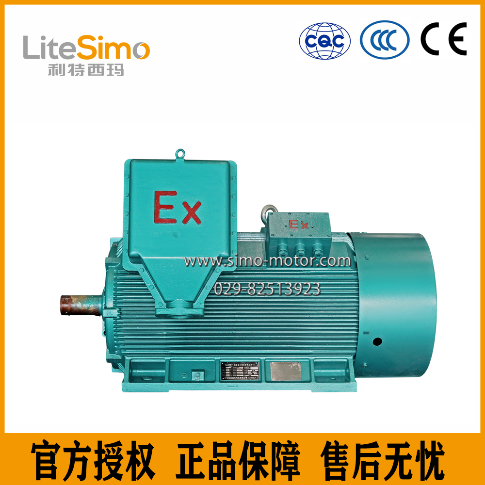 陕西西玛电机YB2-4001-2 315KW 6KV V1 水泵隔爆型