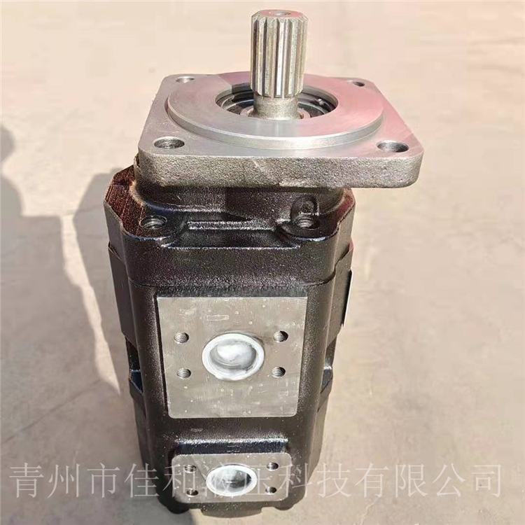 1010000246    1010000265 1010000247 中联吊车双联泵-佳和液压