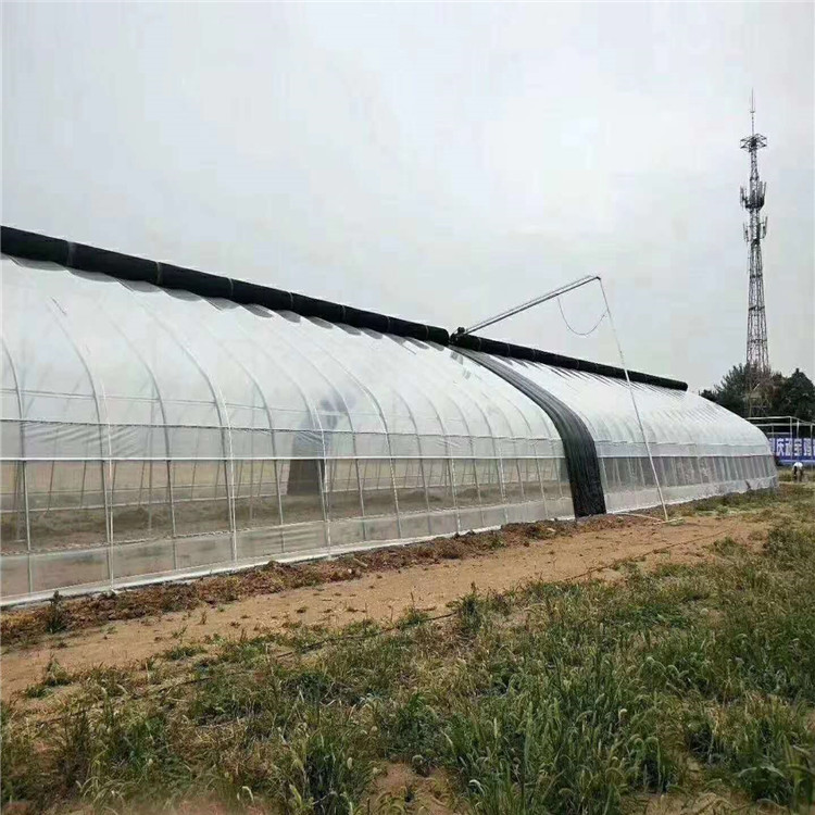 日光薄膜温室大棚 草莓薄膜温室建造 连栋薄膜温室设计安装