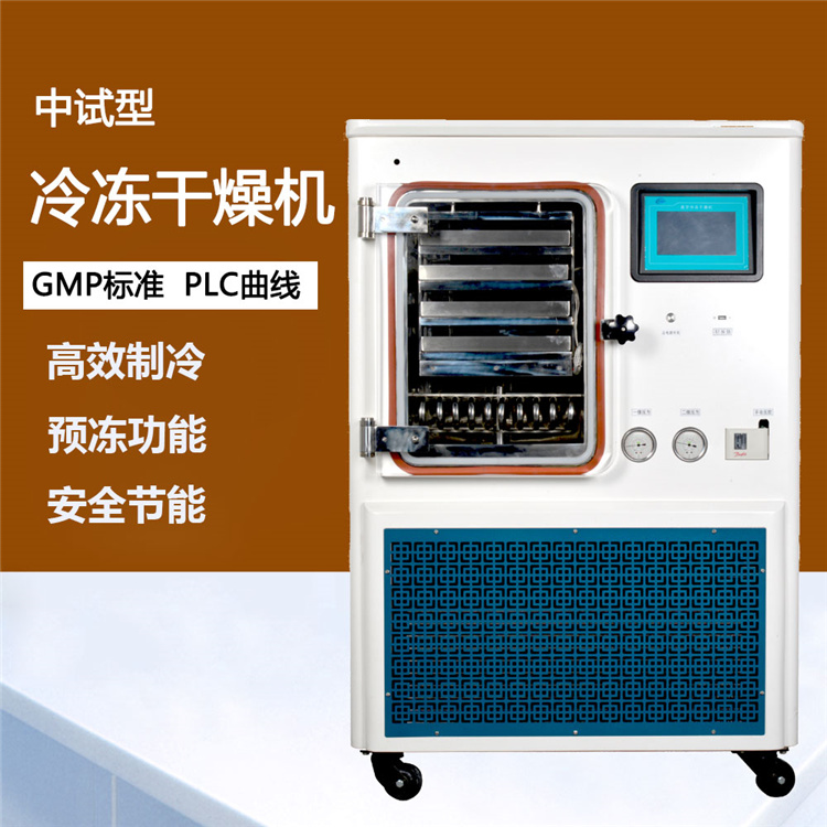 河南家庭中试型冻干机 实验中试型冻干机 果蔬中试型冻干机