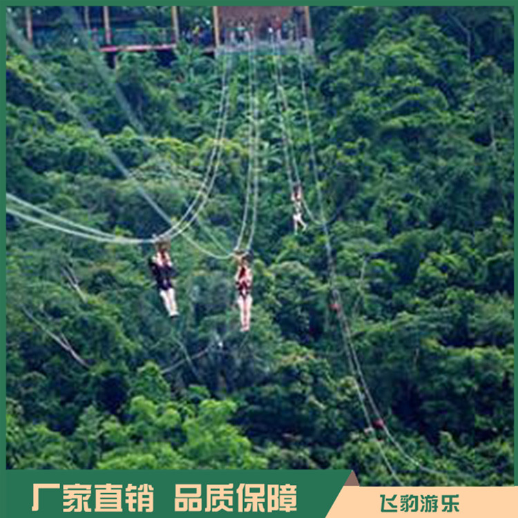 高空滑索 高空飞索设备厂家 厂家直销 价格优惠